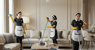 عاملات منازل بالشهر جدة