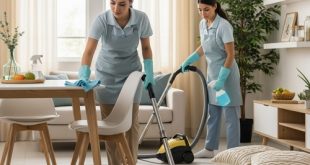 شغالات في تبوك بالشهر