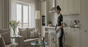 شغالات بالشهر في تبوك